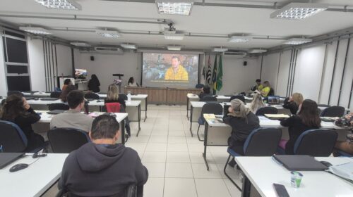 lapa
